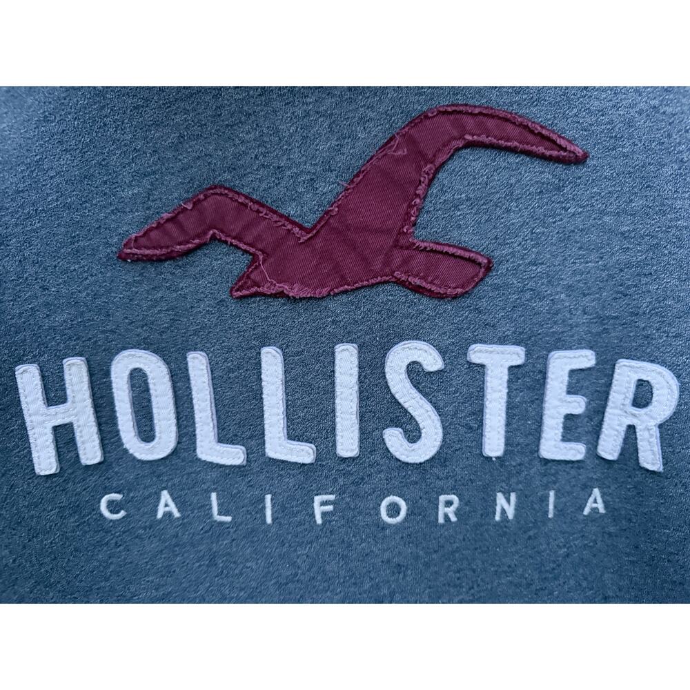 Hollister Hoodie Mens Large Blue and Gray w/ Logo Pullover Sweatshirt California - Picture 4 of 4